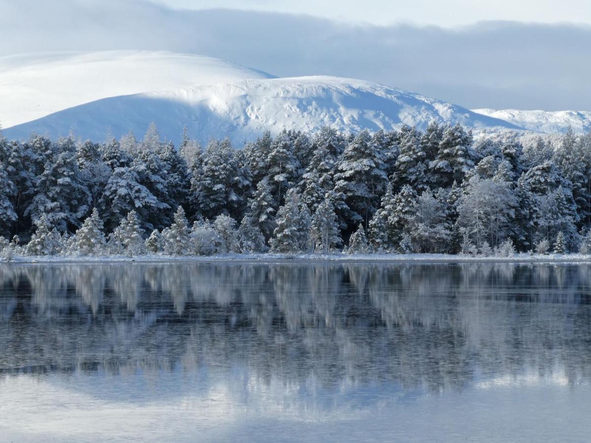 Caman House Apt 2 - By Where Stags Roar Newtonmore Exteriör bild